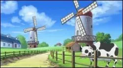 Quel est le nom du village auquel appartenait luffy au dbut ?