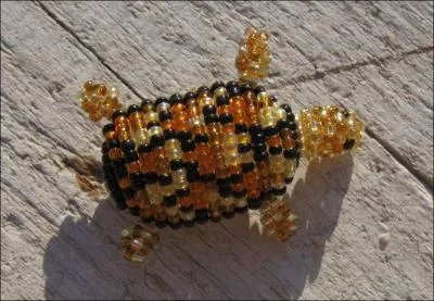 Une collection dont le thme tourne autour se nomme ... .