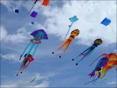 Une collection dont le thme tourne autour se nomme ... .