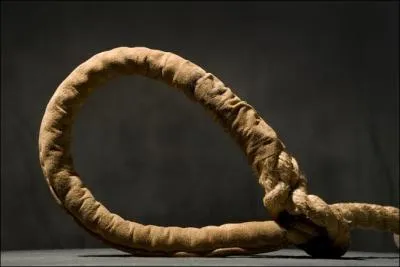 Une collection dont le thme tourne autour se nomme ... .