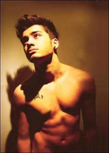 Avec combien de surs Zayn a-t-il grandi ?