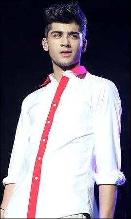 En plus de savoir chanter, Zayn a hrit d'un don particulier pour...