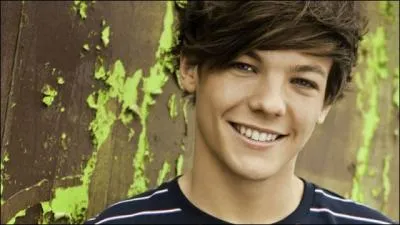 De quelle couleur sont les cheveux de Louis ?