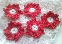 Des belles fleurs brodes ... et ... apparaissent sur la photo.