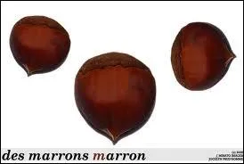 Voici 3 marrons ... , mais il n'y a pas d'oranges ... .