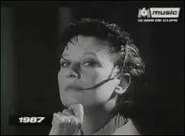 Les paroles de la chanson  Etienne , sulfureuses pour l'poque, ont marqu l'anne musicale 1987. Qui en est l'interprte ?