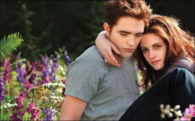 Quel est le slogan de Breaking Dawn Part 2 ?