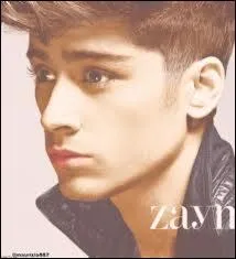 De quelles origines Zayn est-il ?