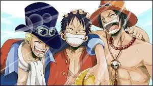 Qui sont les frres de Monkey D. Luffy ?