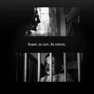 Qui a dit :   Elle a scell le sort par lequel je te protgeais. Le sacrifice de ta mre avait fait de ce lien du sang le plus puissant bouclier que je pouvais t'offrir.   ?