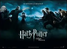 Qui a dit :   C'tait une idiotie de venir ce soir, Tom. Les Aurors sont en route...   ?