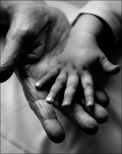 Qui a dit :   Parfois, je suis trs triste en y pensant. Mais j'ai toujours papa. Et d'ailleurs, je reverrai ma mre un jour, n'est-ce pas ?   ?