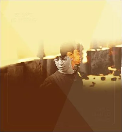 Qui a dit :   Tu ne peux rien faire, Harry... Rien... C'est fini pour lui.   ?