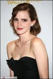 Quelles sont ses professions ?