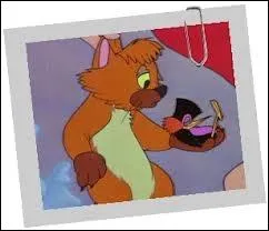 Comment s'appelle ce chat ?