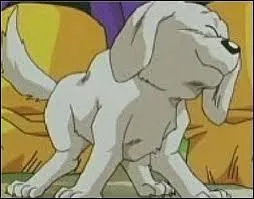 Dans quel film/dessin anim peut-on voir ce chien ?