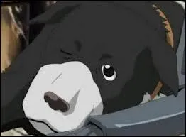 Dans quel film/dessin anim peut-on voir ce chien ?