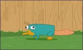 Dans quel film/dessin anim peut-on voir cet ornithorynque ?