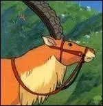 Comment s'appelle ce cerf ?