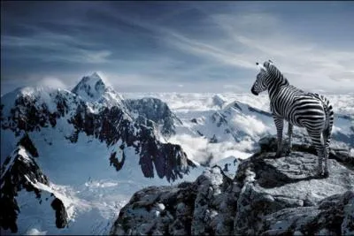 Que pensez-vous de cette photo ?