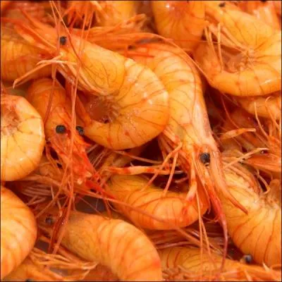 Grise ou rose, je suis dlicieuse avec un peu de mayonnaise. Je suis...