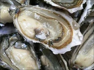 Je suis la reine des repas de fte, on peut me dguster avec un simple jus de citron. Qui suis-je ?