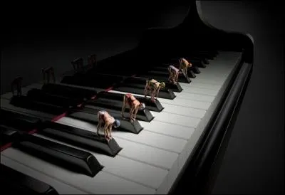 C'est un mot commun au pianiste, au nageur de comptition, et mme  l'escrimeur !