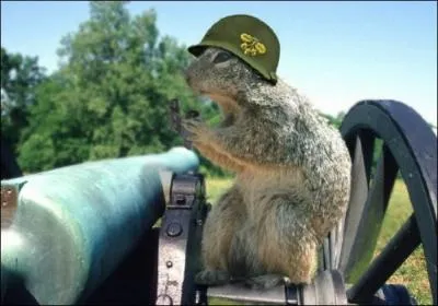 Comment s'appelle ce célèbre canon, utilisé par les allemands durant la première guerre mondiale, afin de briser les fortifications françaises ?