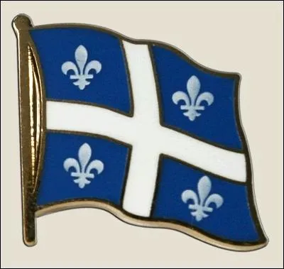 Que reprsente cette image ? ( la question est facile si vous connaissez le titre de ce quiz ! )