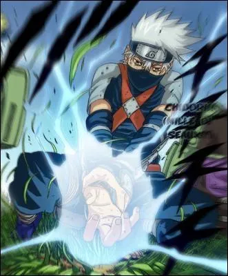 La technique qui matrise le mieux est ...