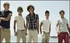 Et pour finir qui finit de chanter en dernier dans  What Makes You Beautiful 