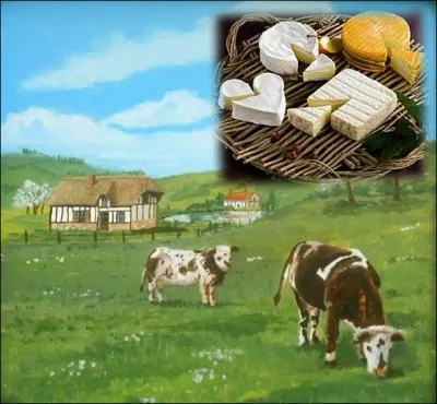 Lequel de ces fromage n'est pas une appellation d'origine normande ?