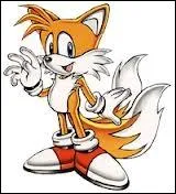Le meilleur ami de Sonic est ... .