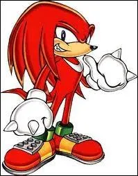 Qui est le rival de Sonic ?
