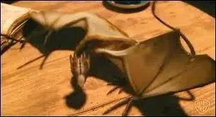 Comment s'appelle le dragon d'Hagrid ?