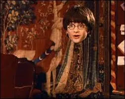 Sur cette photo, quelle est la fte qui est en train de se drouler ?