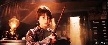 Combien de baguettes Harry a-t-il essayes avant de trouver la bonne ?