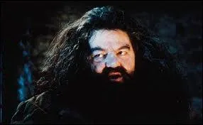 Hagrid a dit que Harry s'est endormi aprs avoir survol ...
