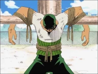 Pourquoi Zoro s'est-il fait arrter ?
