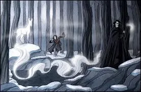 Severus Rogue a pour patronus une biche, mais  cause de qui ?