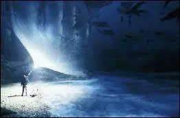 Quel est le patronus d'Harry Potter ?