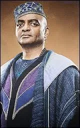 De quel forme est le patronus de Kingsley Shacklebolt ?