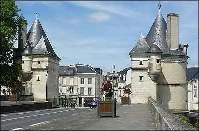 Dans quelle ville est situ le Pont Henri IV qui permet de franchir la Vienne ?