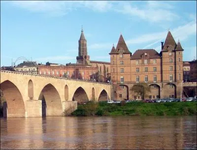 Quelle rivire est franchie par le Pont Vieux de Montauban ?