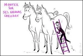 De quel ct monte-t-on et descend-on d'un cheval ?