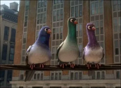 Quels sont les noms des trois pigeons dans  Volt  ?