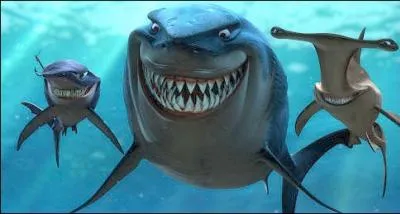 Comment s'appelle le  chef  du trio de requins dans  Le monde de Nmo  ?