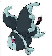 Quel est le nom de celui-ci ?