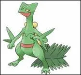 Quel est le nom de celui-ci ?