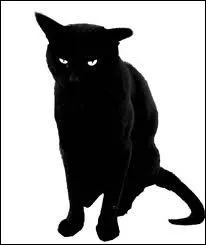 A quand remonte la superstition qui dit que croiser un chat noir porte malheur ?